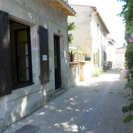 La Libellule * Coulon