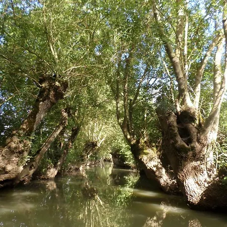 La Libellule